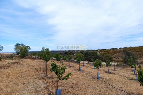 2 bedrooms House in Alcoutim, Portugal No. 56237