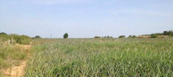  Commercial property in Hua Hin, Thailand No. 6840 6