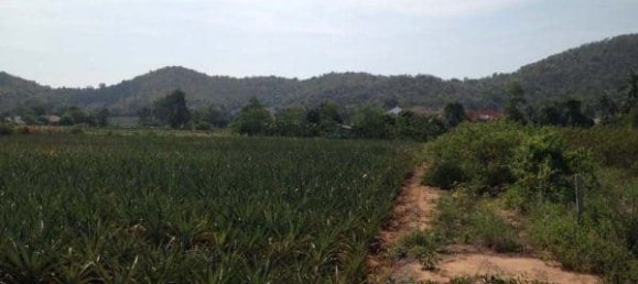  Commercial property in Hua Hin, Thailand No. 6840 5