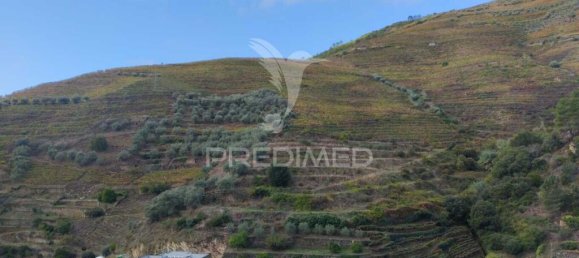 101m² Land in Peso da Regua, Portugal No. 129747 3