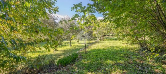 6 bedrooms Villa in Sant'Ambrogio di Valpolicella, Italy No. 175226 31