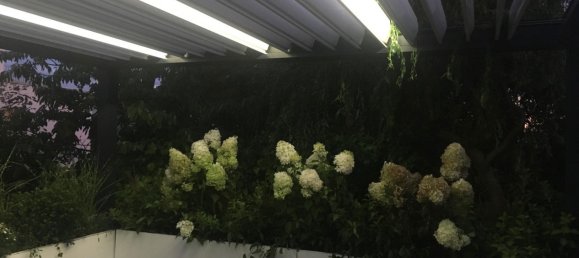 6غرفة منزل في Trier, Germany رقم 272620 30