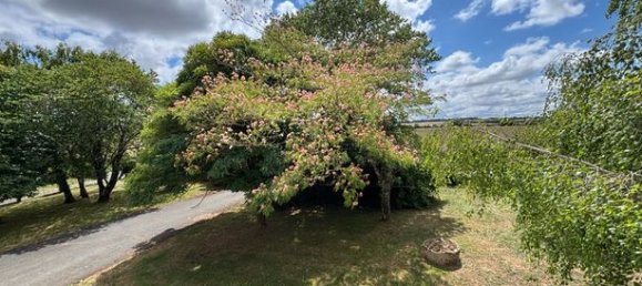 5 bedrooms House in Deux-Sevres, France No. 301534 4