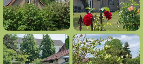 2 bedrooms House in Brandenburg, Germany No. 107207 18