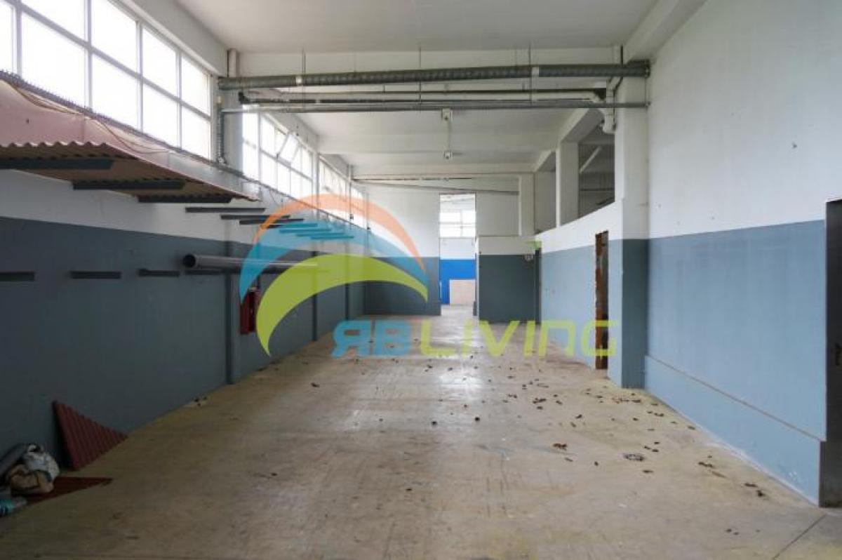 696m² Factory in Funchal, Portugal No. 1834