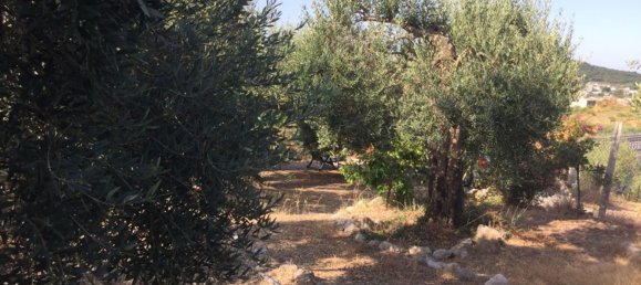 5-Zimmer Villa in Minturno, Italy, Nr. 78463 13