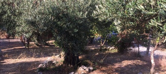 5-Zimmer Villa in Minturno, Italy, Nr. 78463 12