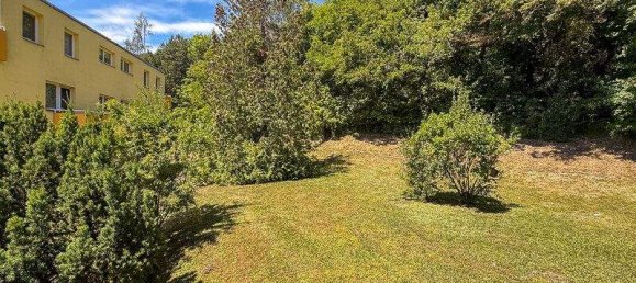 Studio in Hinterbrühl, Austria, Nr. 153413 3