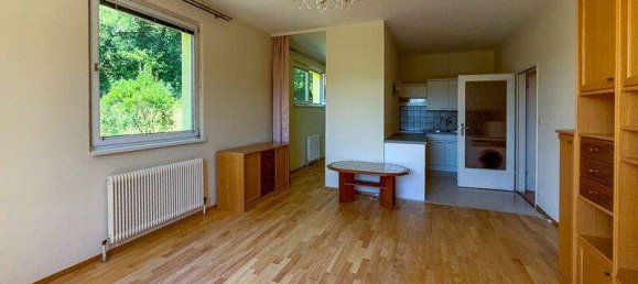 Studio in Hinterbrühl, Austria, Nr. 153413 6