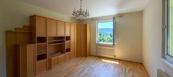 Studio in Hinterbrühl, Austria, Nr. 153413 5