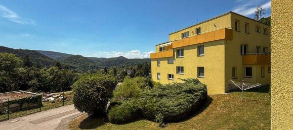 Studio in Hinterbrühl, Austria, Nr. 153413 4