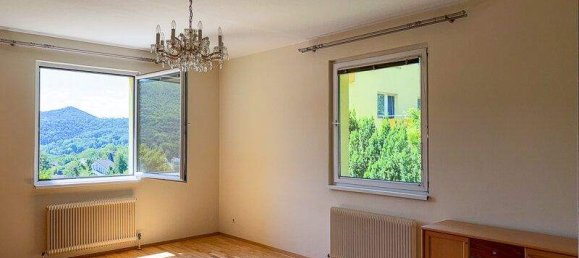 Studio in Hinterbrühl, Austria, Nr. 153413 7