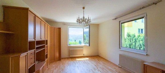 Studio in Hinterbrühl, Austria, Nr. 153413 2