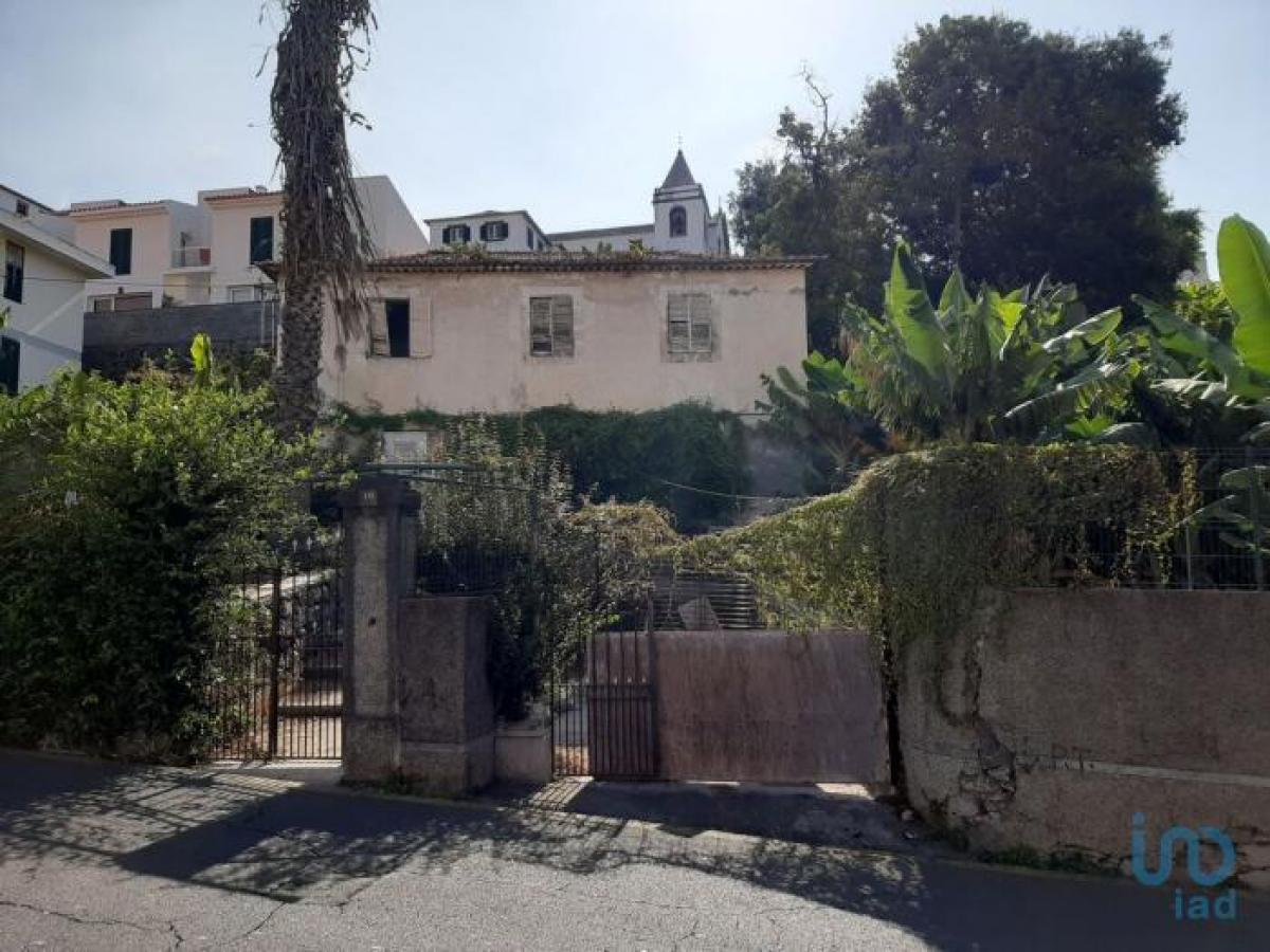 Studio in Funchal, Portugal, Nr. 884