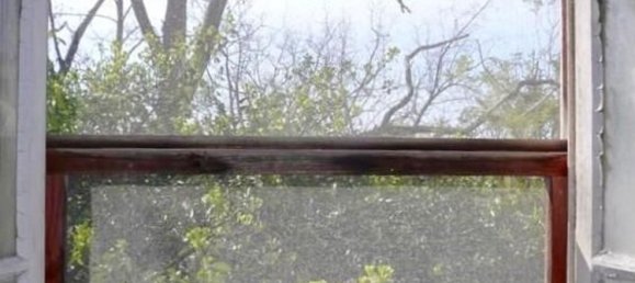 12 rooms House in Calci, Italy No. 164806 11