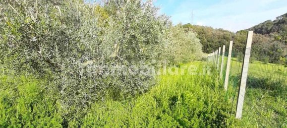 Studio in Rosignano Marittimo, Italy No. 124149 17