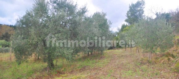 Studio in Rosignano Marittimo, Italy No. 124149 15