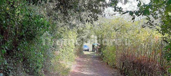 Studio in Rosignano Marittimo, Italy No. 124149 19