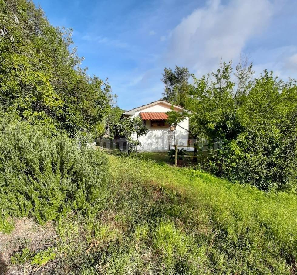 Studio in Rosignano Marittimo, Italy No. 124149