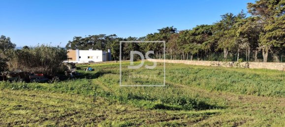 Grundstück in Ericeira, Portugal 10937m², Nr. 118995 7