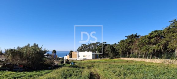 Grundstück in Ericeira, Portugal 10937m², Nr. 118995 10