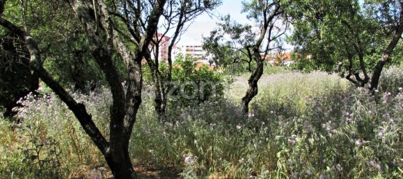 Terreno en Cascais, Portugal 3200 m² No. 74772 7