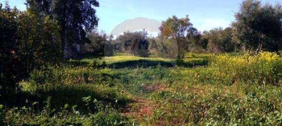 7400m² Land in Loule, Portugal No. 37443 5