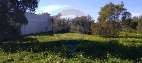 7400m² Land in Loule, Portugal No. 37443 3