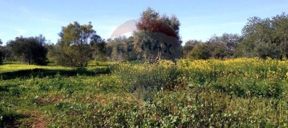 7400m² Land in Loule, Portugal No. 37443 2