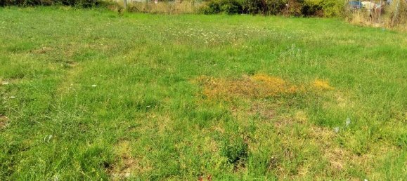 1200m² Hotel in Chalkidiki, Greece No. 6135 2