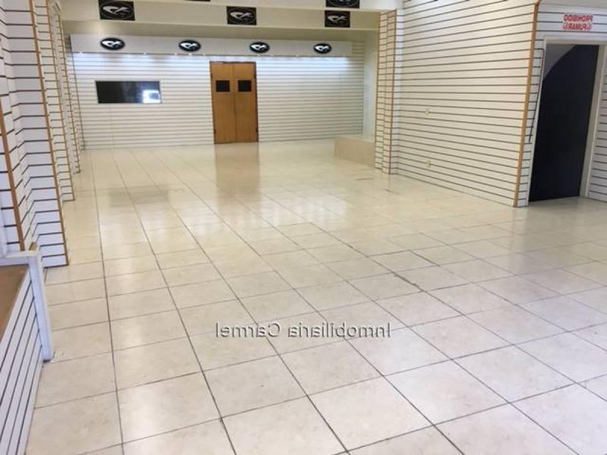 Коммерческая недвижимость в Монтевидео, Уругвай № 13249