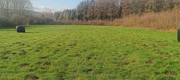 6205m² Land in Secheval, France No. 68988 4