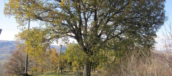 15 Schlafzimmer Haus in Agnone, Italy, Nr. 312532 5