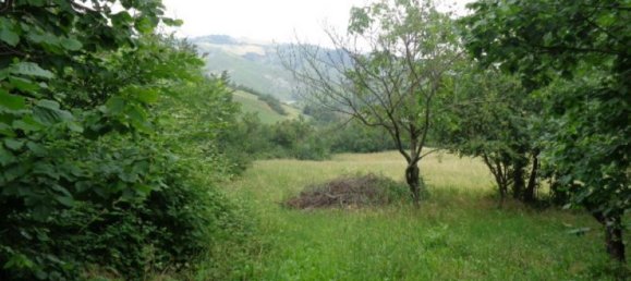 Studio in Serramazzoni, Italy No. 17227 8