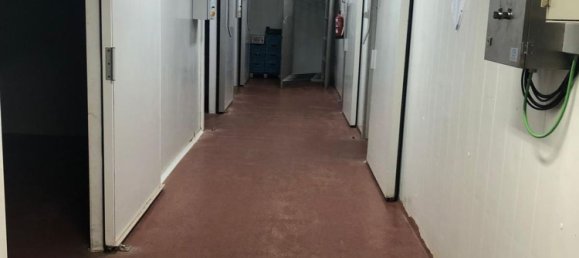 990m² Warehouse in Camargo, Spain No. 149850 20