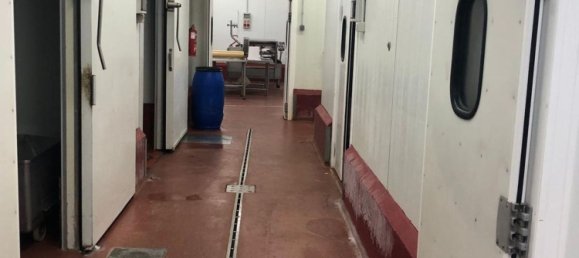 990m² Warehouse in Camargo, Spain No. 149850 11