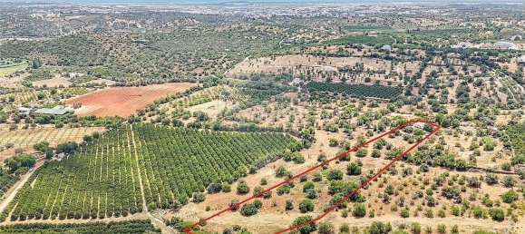 3 Schlafzimmer Haus in Tavira, Portugal, Nr. 284840 20