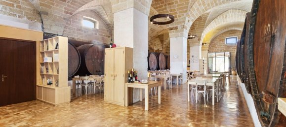 Casa de 26 dormitorios en Monteroni di Lecce, Italy No. 315278 40