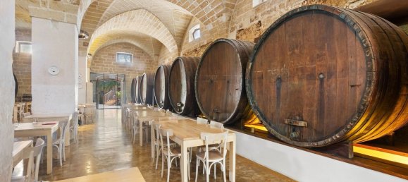 Casa de 26 dormitorios en Monteroni di Lecce, Italy No. 315278 41