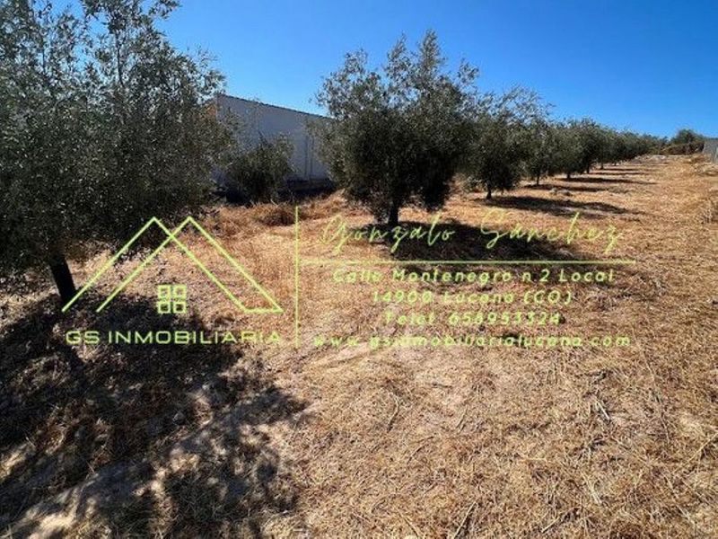  قطعة أرض في Cordoba, Spain 1400متر مربع رقم 220264