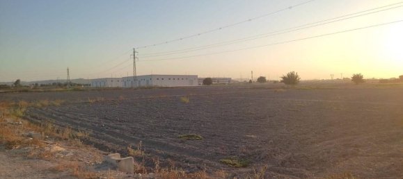 125m² Land in San Fulgencio, Spain No. 100136 6