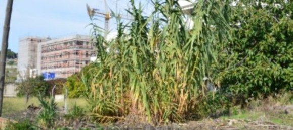 2000m² Land in Lisbon, Portugal No. 67651 14