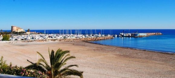 2 bedrooms Townhouse in Pilar de la Horadada, Spain No. 11588 11