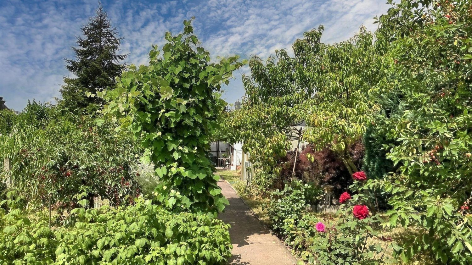  Land in Saalekreis, Germany No. 311614