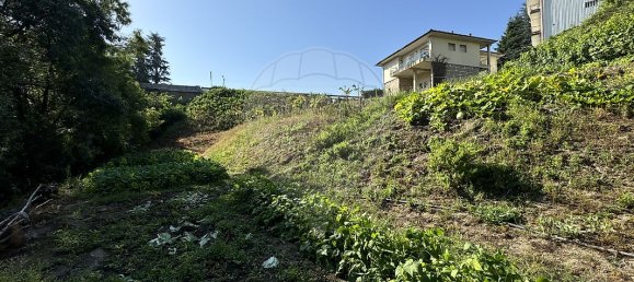 4 bedrooms House in Vila Real, Portugal No. 21590 5