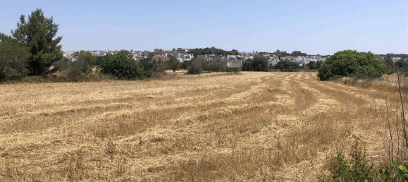 Terreno en Sannicola, Italy 27500 m² No. 147566 6