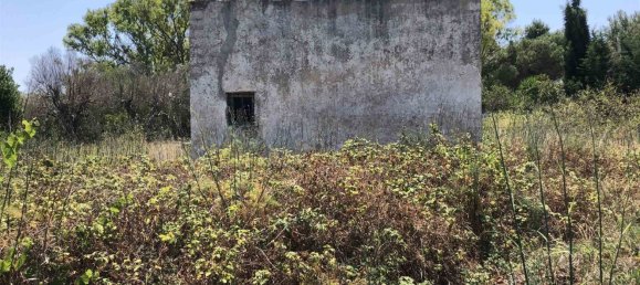 Terreno en Sannicola, Italy 27500 m² No. 147566 2