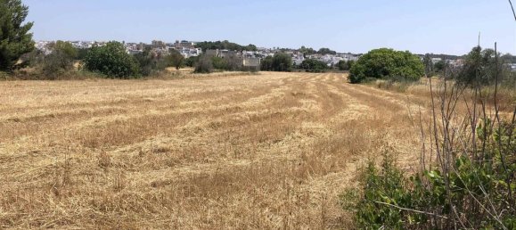 Terreno en Sannicola, Italy 27500 m² No. 147566 5