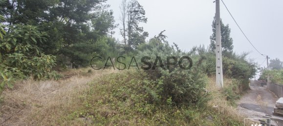 Terrain à Camacha, Portugal No. 83728 2