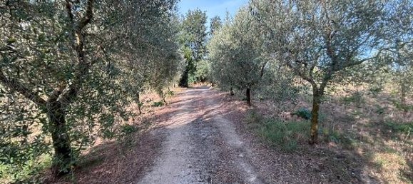 Terreno en Paliano, Italy 15000 m² No. 281530 6